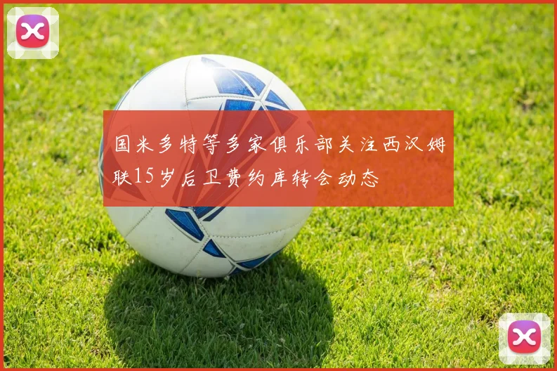 国米多特等多家俱乐部关注西汉姆联15岁后卫费约库转会动态