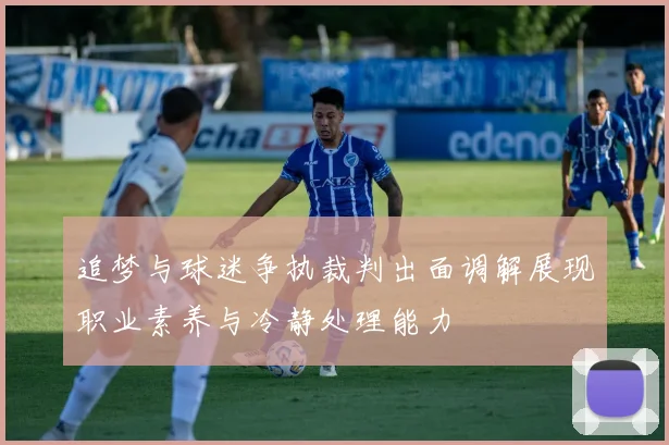 追梦与球迷争执裁判出面调解展现职业素养与冷静处理能力