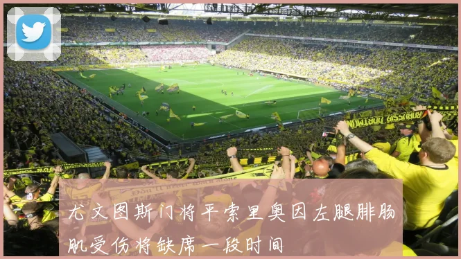 尤文图斯门将平索里奥因左腿腓肠肌受伤将缺席一段时间