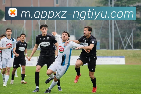 南宫体育APP 封面图